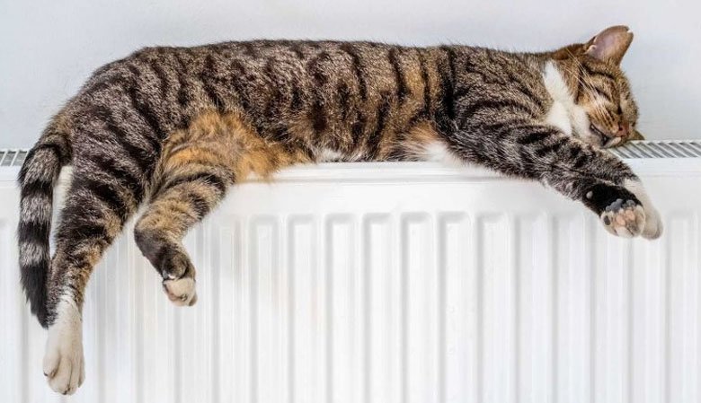 Raisons courantes pour lesquelles une chaudière se coupe en hiver (et comment les réparer)